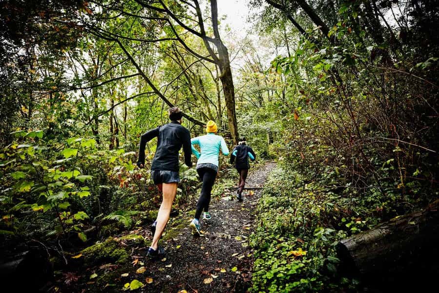Guided Sunrise Adventure Trail Run Table Mountain, Cape Town - Key points at a glance