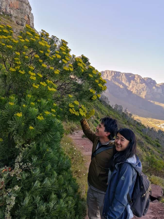 Guided Table Mountain Hike – Kasteelspoort Scenic Route - The photo rock: memorable, but not compulsory