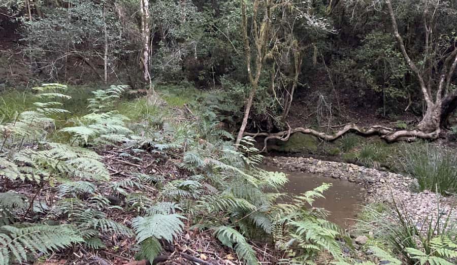 Guided Wildlife Tour and Forest Walk with Lunch Platter - Key points to know before you book