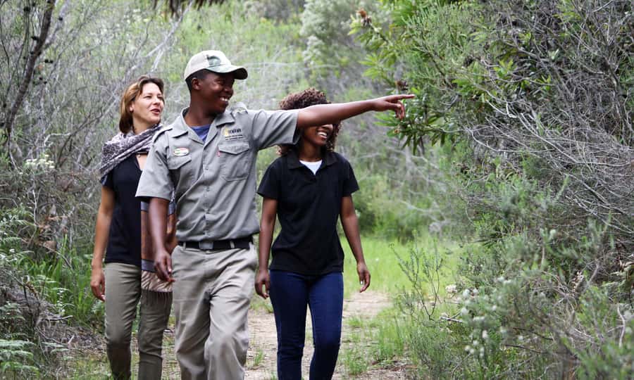 Guided Wildlife Tour and Forest Walk with Lunch Platter - Arriving at Tenikwa from Plettenberg Bay