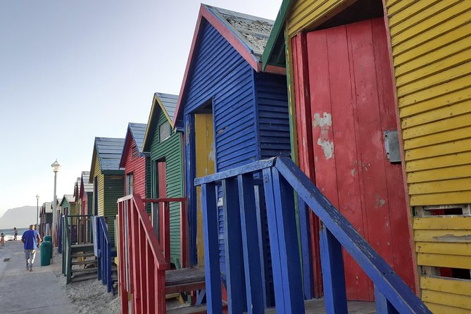 Half day African Penguin Tour - Hout Bay adds working harbor character