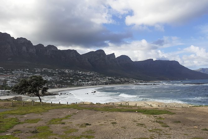 Half day African Penguin Tour - Chapman’s Peak is the scenic high point