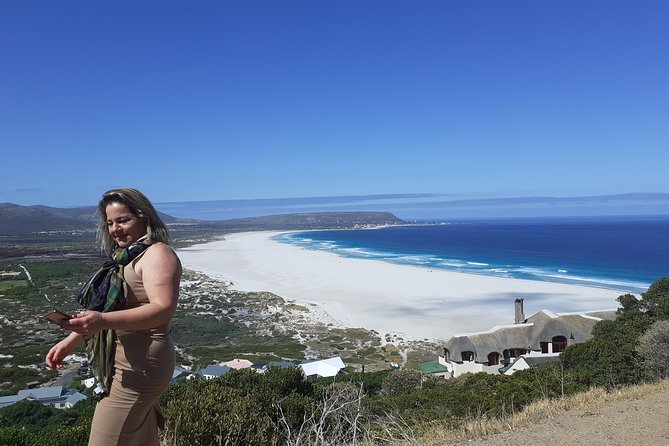 Half day African Penguin Tour - Kalk Bay and Muizenberg on the False Bay side