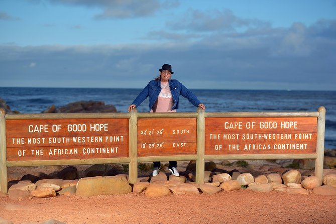 Half Day Boulders Penguins and Cape Point Small Group Tour - Boulders Beach: your best penguin opportunity