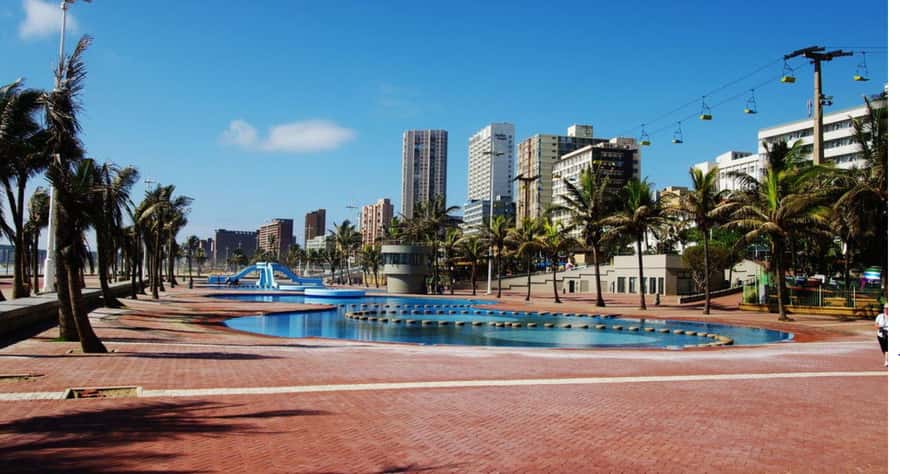 Half Day Durban City Tour and Phezulu Safari Park - What to expect on the Phezulu game drive