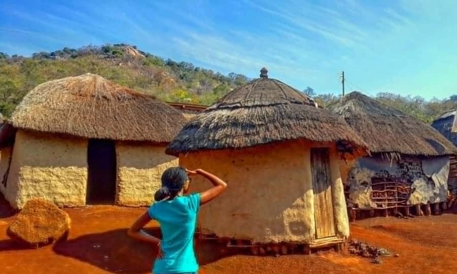 Half Day Durban City Tour and Phezulu Safari Park - The guide, timing, and pickup details