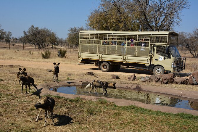 Half Day Lion Park tour from Johannesburg or Pretoria - Who should book this half-day tour?