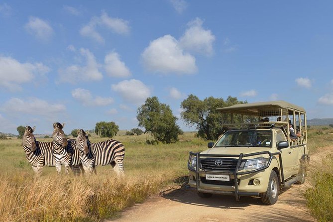 Half Day Lion Park tour from Johannesburg or Pretoria - The drive to Lion & Safari Park