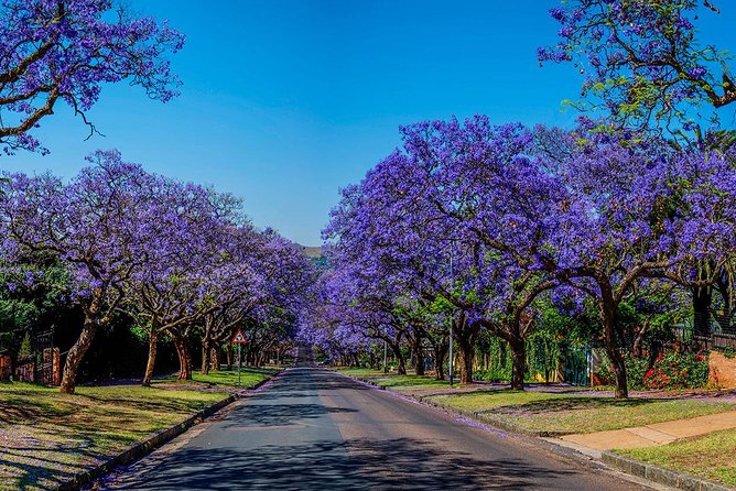 Half Day Pretoria City Tour from Johannesburg or Pretoria - Why Pretoria deserves a half-day