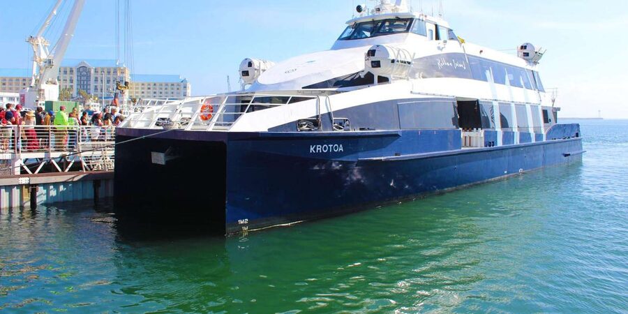 Half Day Robben Island including Tickets and Transfers Tour - Four hours on the island, including views and a short break