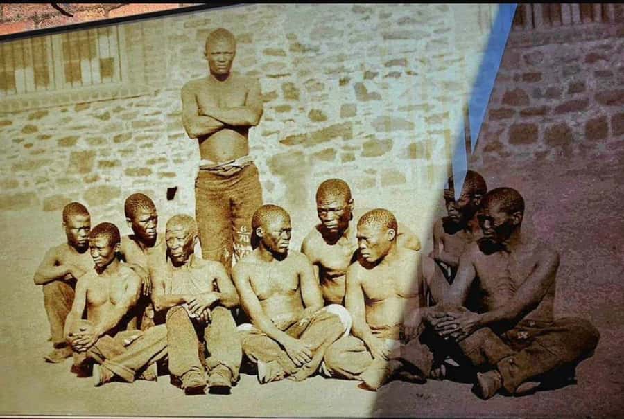 Half Day Soweto and Apartheid Museum Guided Tour - Lunch at Sakhumzi Restaurant
