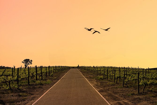 Half-Day Stellenbosch Winelands Tour from Cape Town - Why Stellenbosch makes a good half-day escape