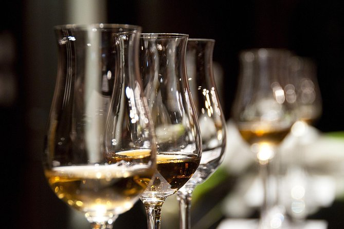 Half-Day Stellenbosch Winelands Tour from Cape Town - First estate: wine, cheese, and a longer tasting