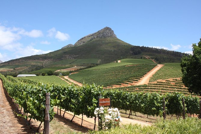 Half-Day Stellenbosch Winelands Tour from Cape Town - Leaving Cape Town with a driver-guide