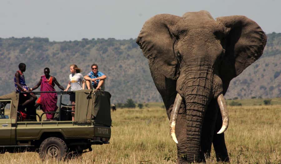 Half Day Tala Game Reserve & Natal Lion Park from Durban - Key points at a glance