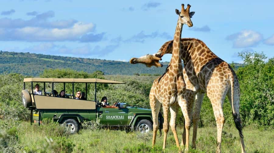 Half Day Tala Game Reserve & Natal Lion Park from Durban - What I would confirm before booking