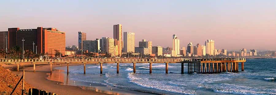 Half Day Tala Game Reserve & Natal Lion Park from Durban - Transport is the make-or-break detail