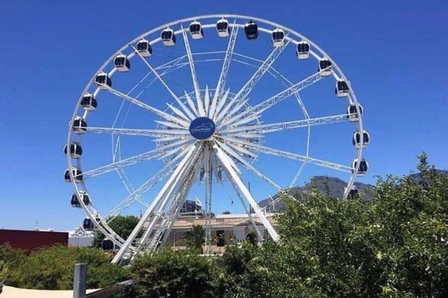 Half Day Tour to Robben Island with Pre-Booked Ticket - Is $124 a fair price?