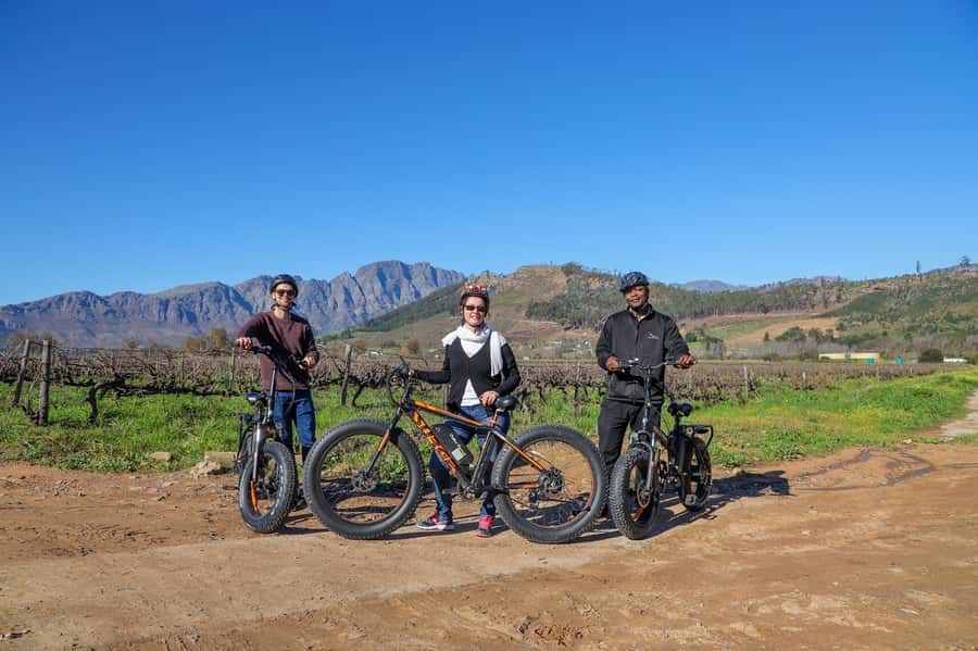 Half-Day Winelands E-Bike Tour with Wine Tasting - Who should book this tour?