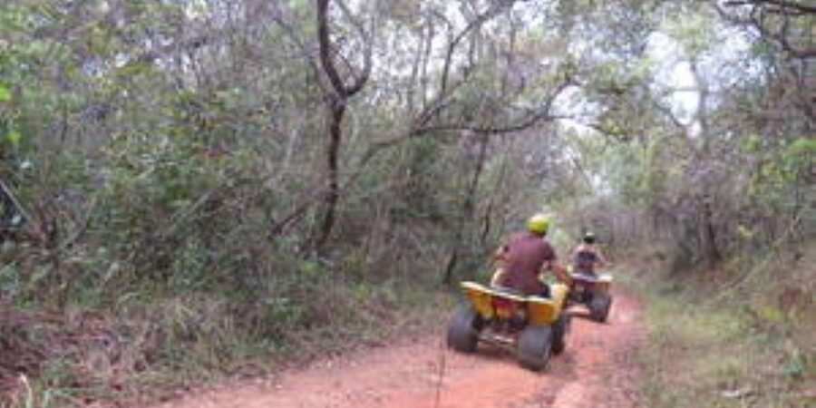 Hazyview : 30 minutes Quad Ride - Who will enjoy this most?