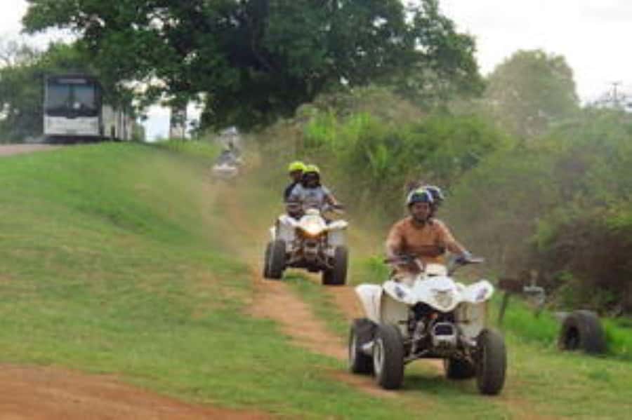 Hazyview: Guided Macadamia Plantation and Forest Quad Safari - Quick points to know before you ride