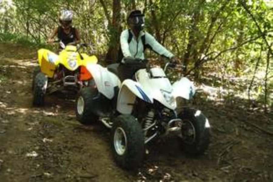 Hazyview: Guided Macadamia Plantation and Forest Quad Safari - Forest trails and Sabie River scenery