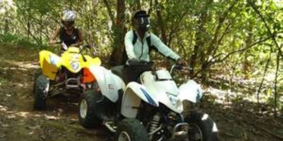 Hazyview: Guided Macadamia Plantation and Forest Quad Safari - Cruising through the macadamia plantation
