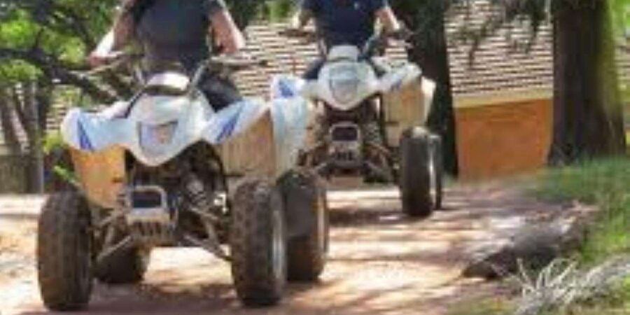 Hazyview: Guided Macadamia Plantation and Forest Quad Safari - What the one-hour route feels like