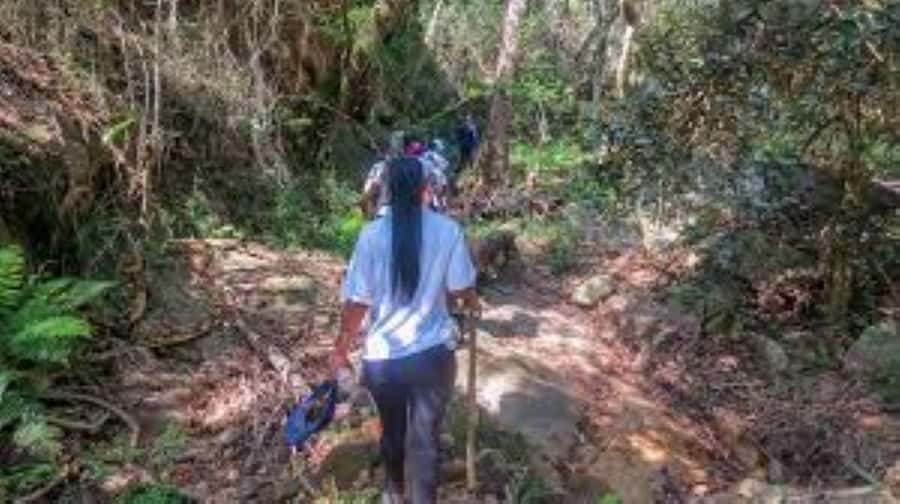 Hazyview : Sabie River Hiking Trail 12km - Choosing Between 6, 8, and 12 Kilometers