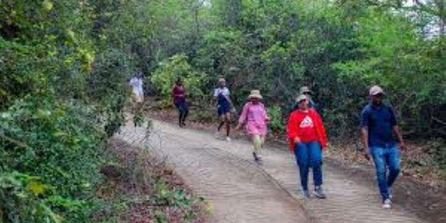 Hazyview : Sabie River Hiking Trail 12km - Is $11 Good Value?