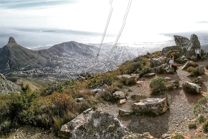 Hike Table Mountain with a Guide - Choose Route - Reaching the summit and coming back down