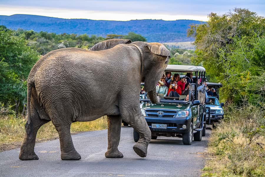 Hluhluwe-Imfolozi: Big 5 Full or Half-Day Safari - Entering through Nyalazi Gate