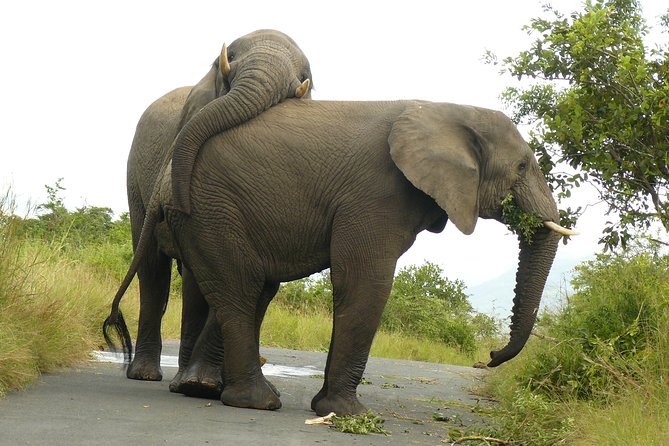 Hluhluwe Imfolozi Big 5 Reserve day Safari from Durban - Entering Hluhluwe Imfolozi Reserve