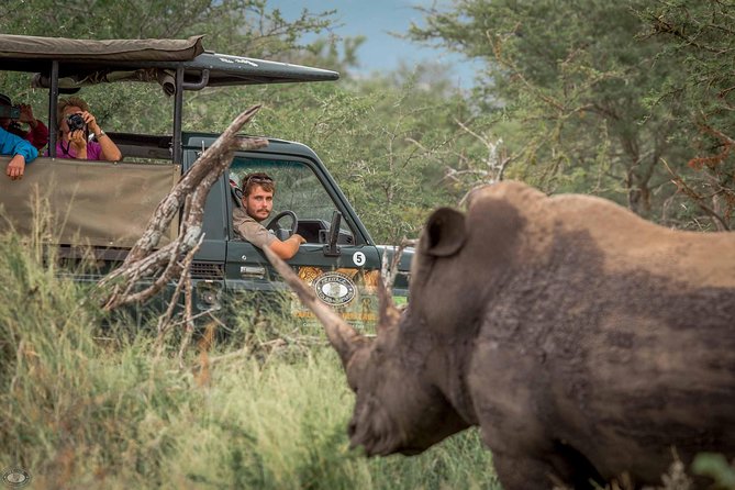 Hluhluwe-Imfolozi Park Full Day Big 5 Safari Tour - Key points before you book