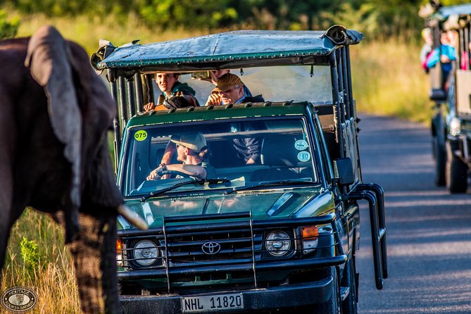 Hluhluwe-Imfolozi Park Full Day Big 5 Safari Tour - Why the 5:00 am start matters