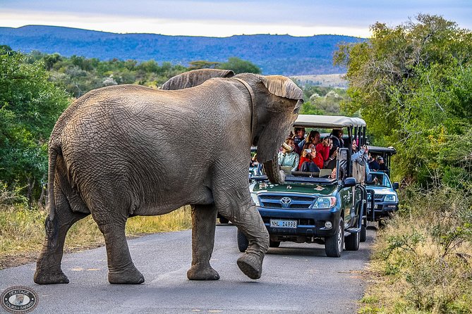 Hluhluwe-Imfolozi Park Full Day Big 5 Safari Tour - Tracking the Big Five with a ranger