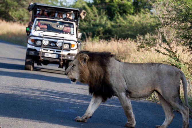 Hluhluwe-Imfolozi Park Half-day Big Five Safari Adventure - The bush breakfast stop