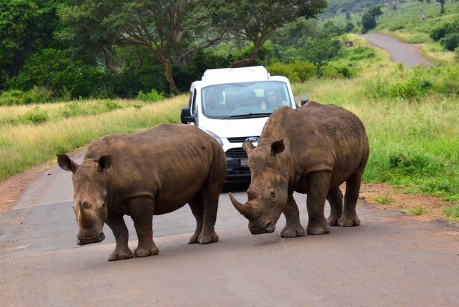 Hluhluwe Imfolozi Safari & St Lucia Boat Safari Day Tour from Durban - Why this Durban day trip works