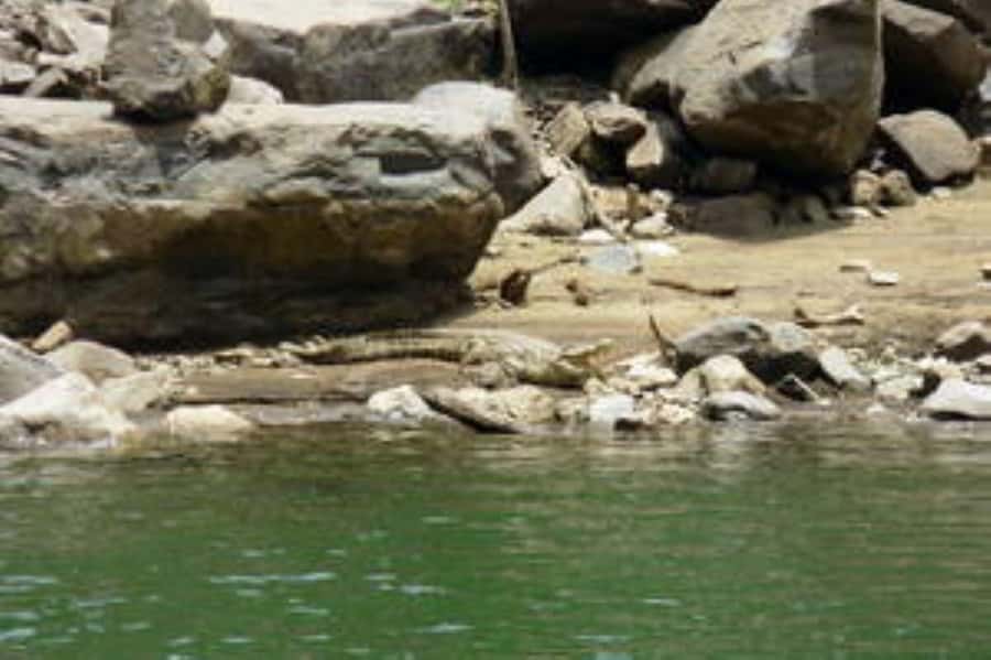Hoedspruit: Blyde River Canyon Dam Boat Cruise - What happens during the 90-minute cruise