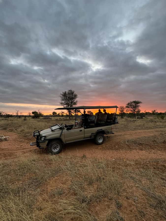 Hoedspruit: Dinner in the Bush & Safari Game Drive - A safari evening built around sunset