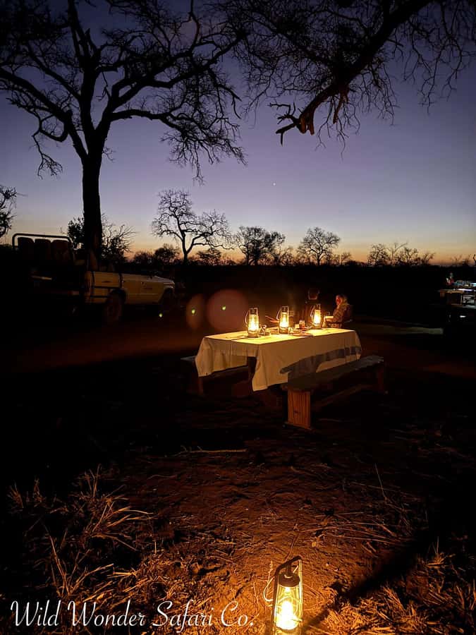 Hoedspruit: Dinner in the Bush & Safari Game Drive - What the 2.5-hour game drive is really like