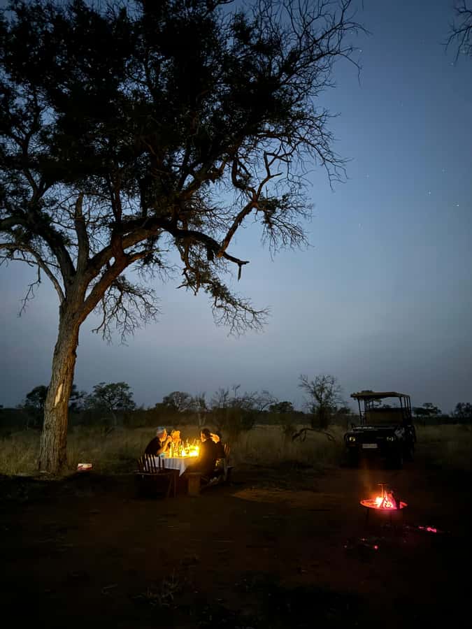 Hoedspruit: Dinner in the Bush & Safari Game Drive - Keegan’s role makes a difference