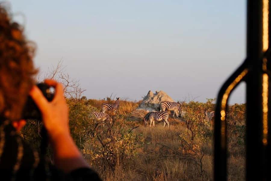 Hoedspruit: Full Day in ICONIC Kruger National Park - Key points at a glance