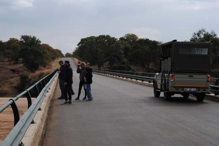 Hoedspruit: Full Day in ICONIC Kruger National Park - Three more hours on Kruger’s roads