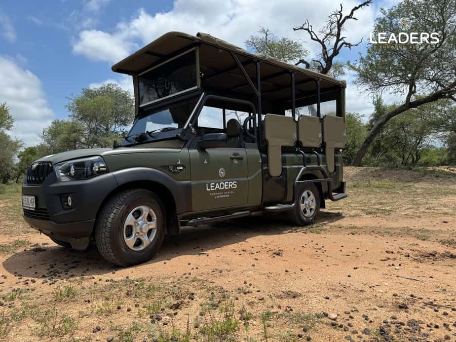 Hoedspruit: Private Kruger National Park Full-Day Safari - Why a full day in Kruger makes sense