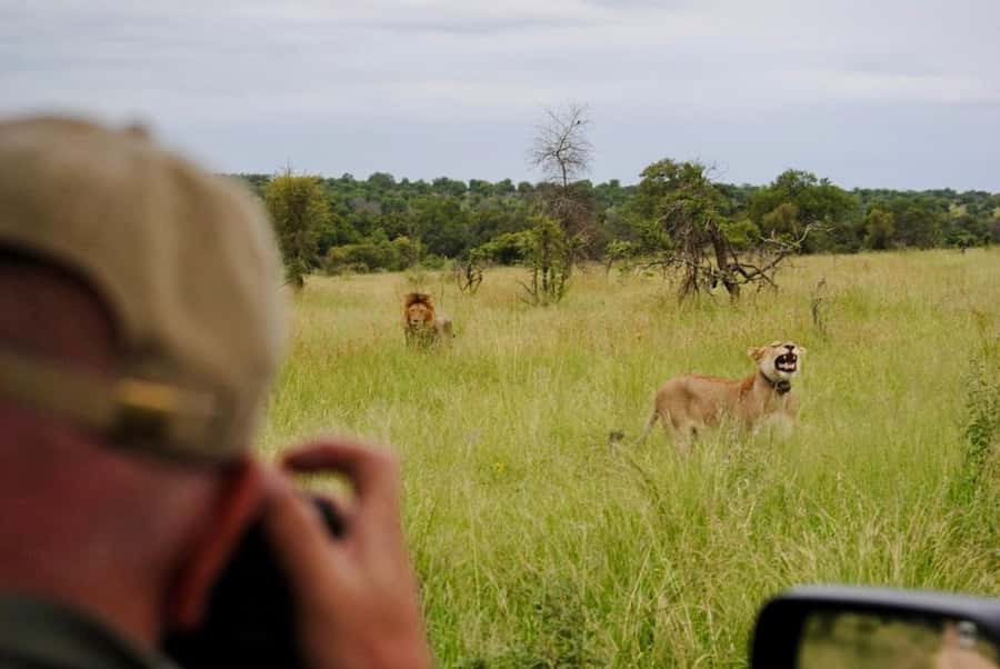 Hoedspruit: Sunrise Safari in Greater Kruger Private Reserve - Why sunrise works so well near Hoedspruit