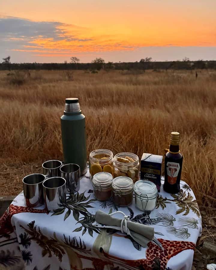 Hoedspruit: Sunrise Safari in Greater Kruger Private Reserve - Tracking lion signs and watching animals at their pace