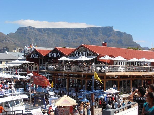 Hop-On Hop-Off Cape Town Canal Cruise - A gentle boat ride through Cape Town’s working waterfront
