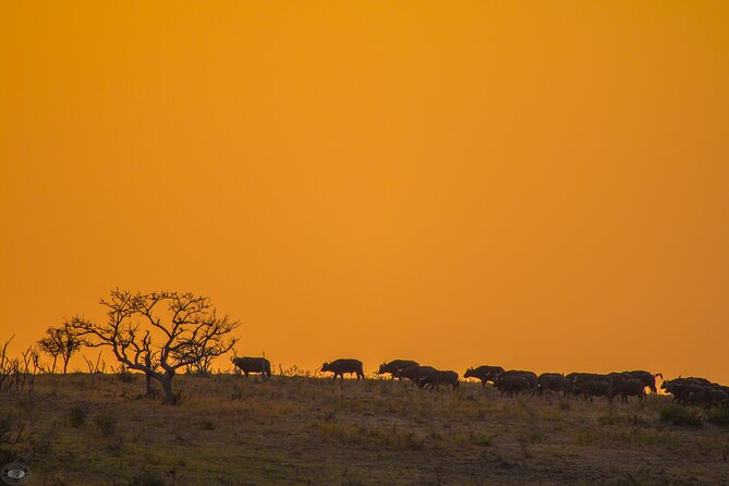 iSimangaliso Sunset Game Drive - Watching for rhino, elephant, and smaller creatures
