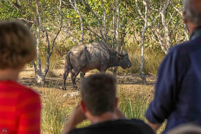 iSimangaliso Wetland Park, Full Day Tour - Game viewing, hides, and loop roads